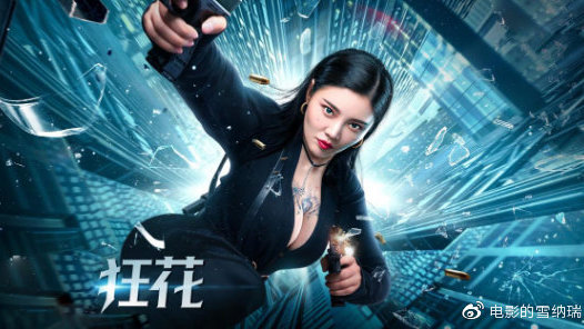 做假爱沙尼亚驾驶执照